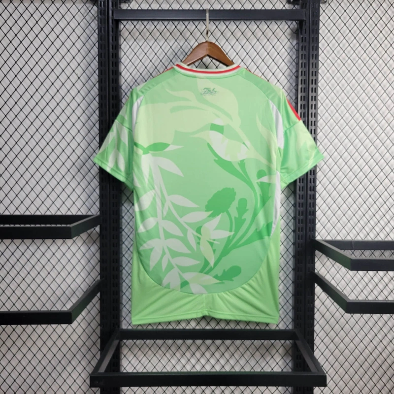 Camisa Italia 25/26 - Verde