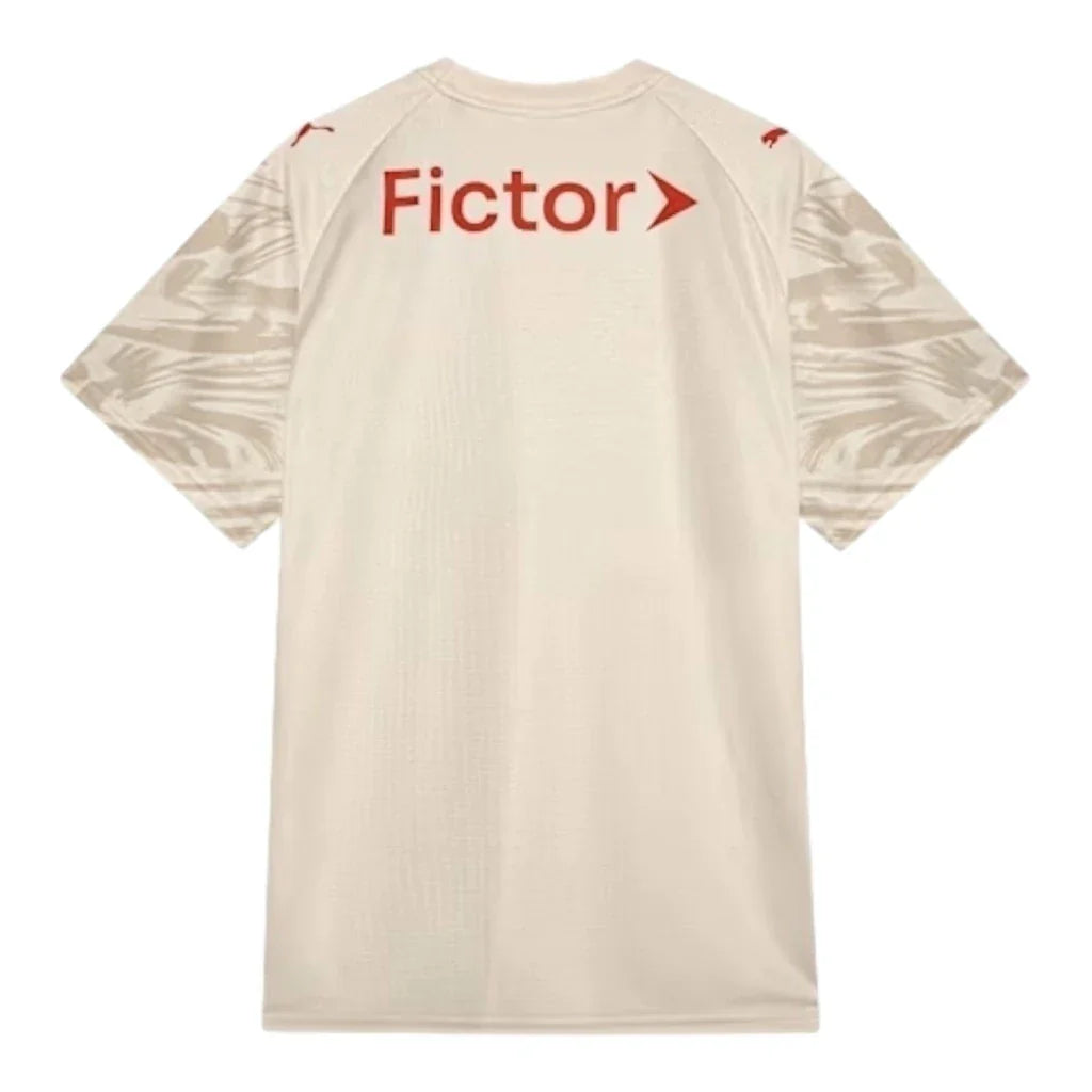 Camisa Palmeiras goleiro II 26/27 torcedor