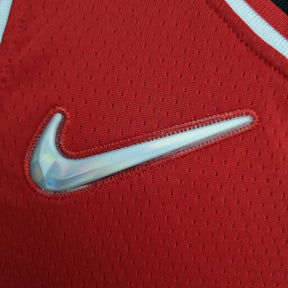 Camisa NBA Chicago Bulls #8 Lavine - 75° Aniversário Red